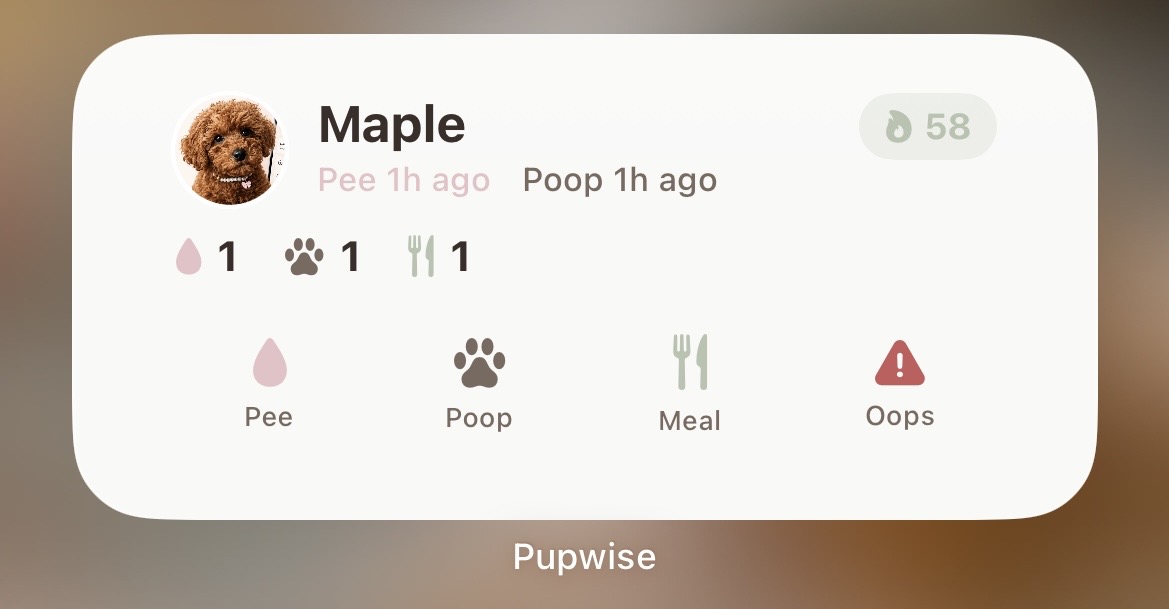 Pupwise iOS home screen widget