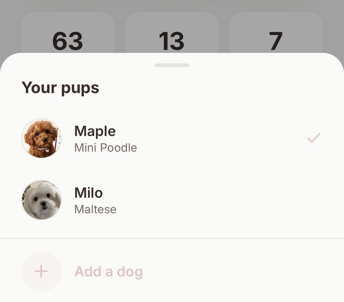 Pupwise switch between dog profiles
